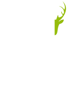 hirschen-fischbach.karriereseite.live